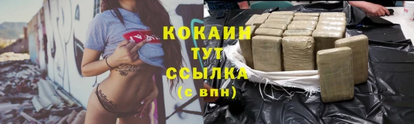 крисы Арсеньев