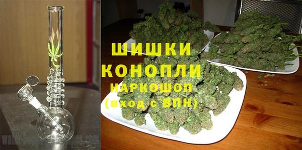крисы Арсеньев