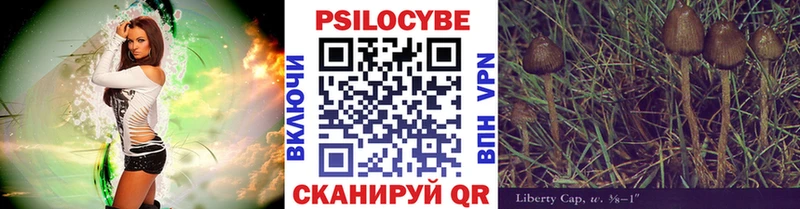 Галлюциногенные грибы Cubensis сайты даркнета какой сайт Петухово